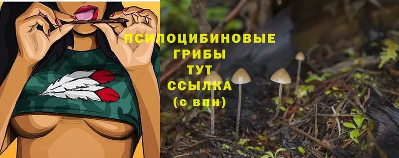 Псилоцибиновые грибы Psilocybine cubensis  наркота  Боровск 